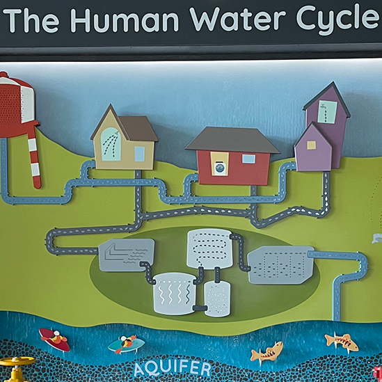 The Human Water Cycle exhibit